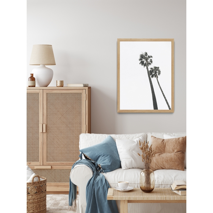 Lámina Palmera 12