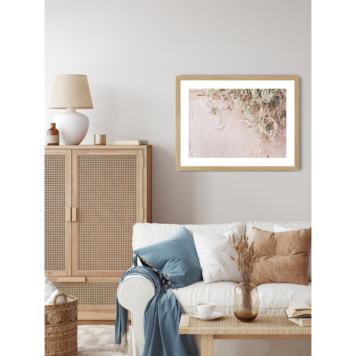 Lámina Planta Colgante