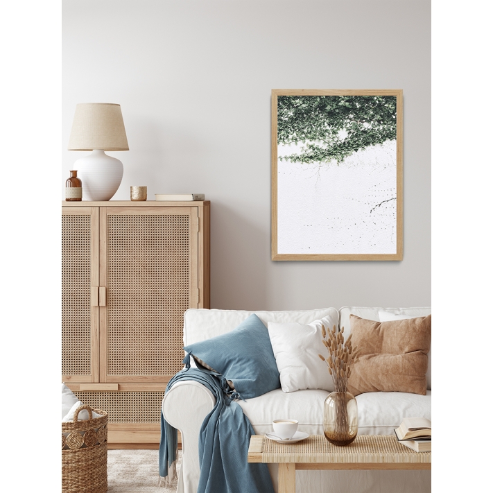 Lámina Planta Trepadora