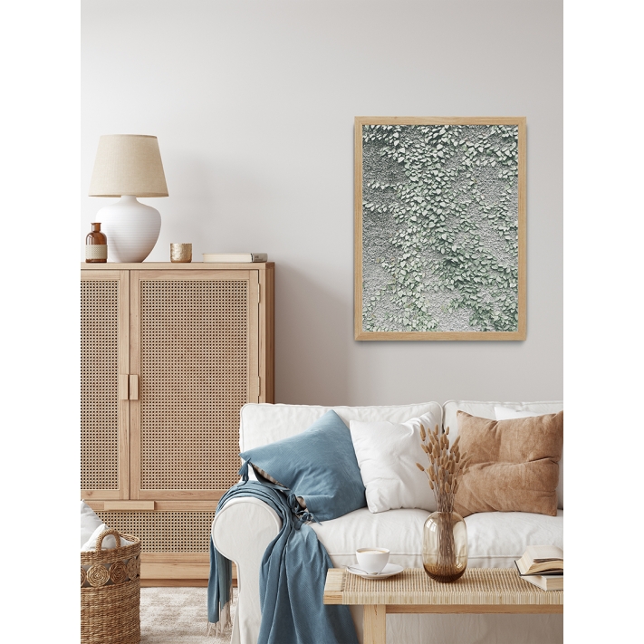 Lámina Planta Trepadora 2