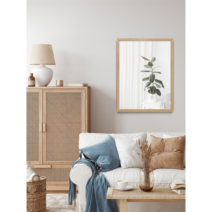 Lámina Planta Verde