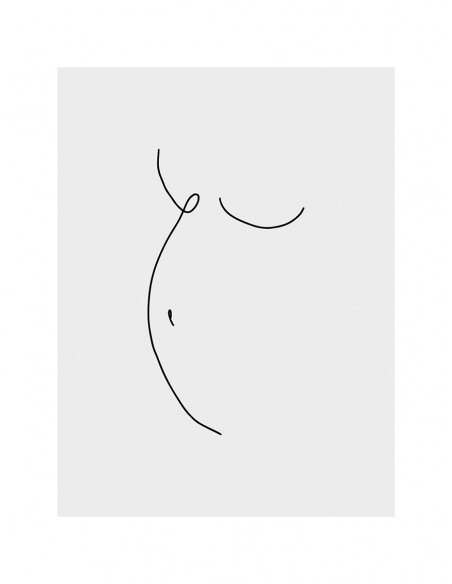 Lámina Trazo Contorno