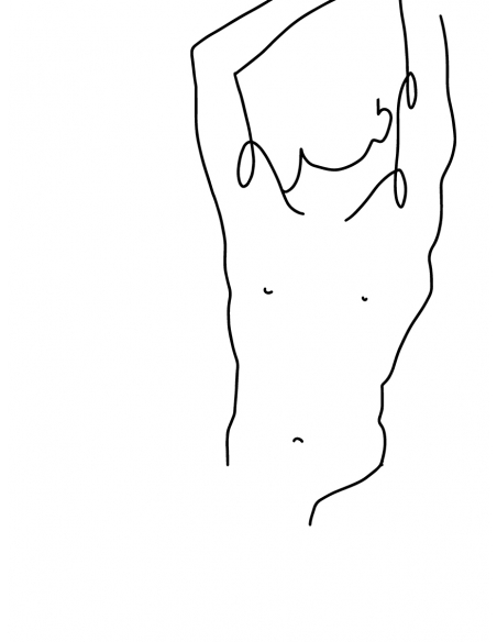 Lámina Trazo Contorno 2