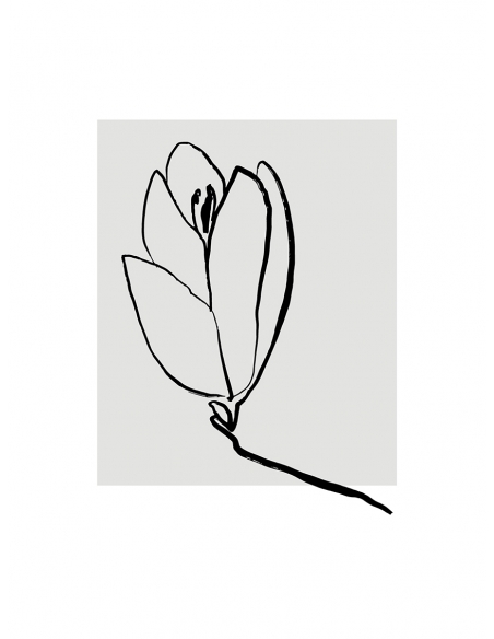 Lámina Trazo Flor 2 Lámina Trazo Flor 2