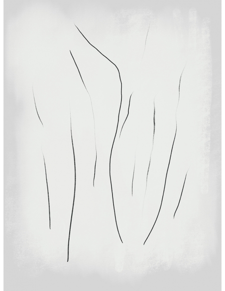 Lámina Trazo Negro 3