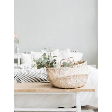 Lámina Cesta y Planta