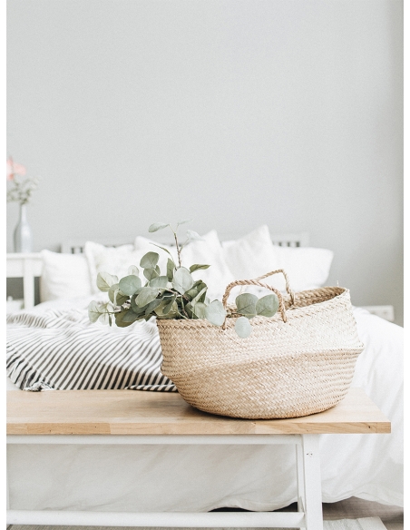 Lámina Cesta y Planta