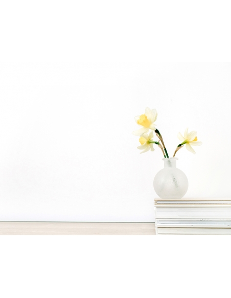 Lámina Libros y Jarrón