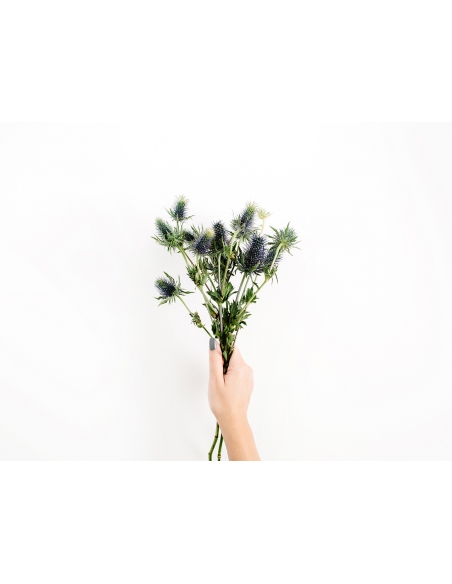 Lámina Mano con ramo