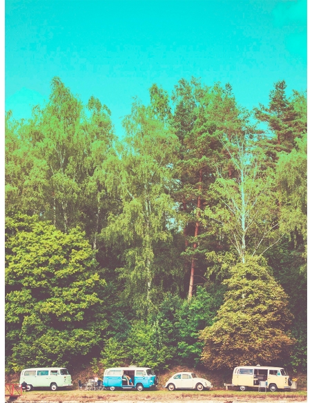 Lámina Bosque con Furgonetas