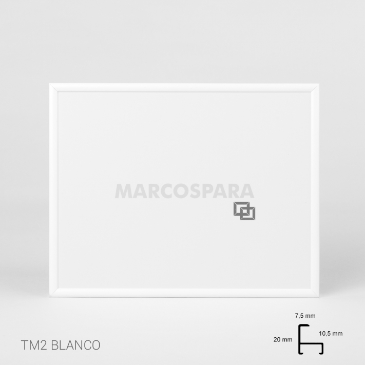 Lámina Bosque con niebla 3