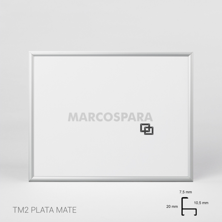 Lámina Bosque con niebla 3