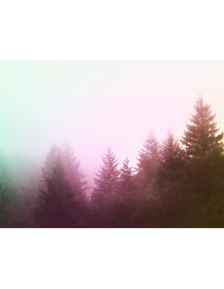 Lámina Bosque con niebla 3