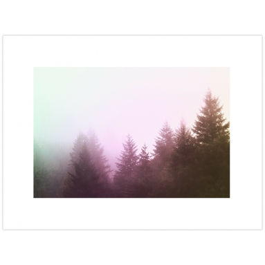 Lámina Bosque con niebla 3 2