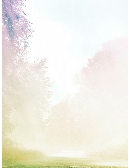 Lámina Bosque con niebla 4