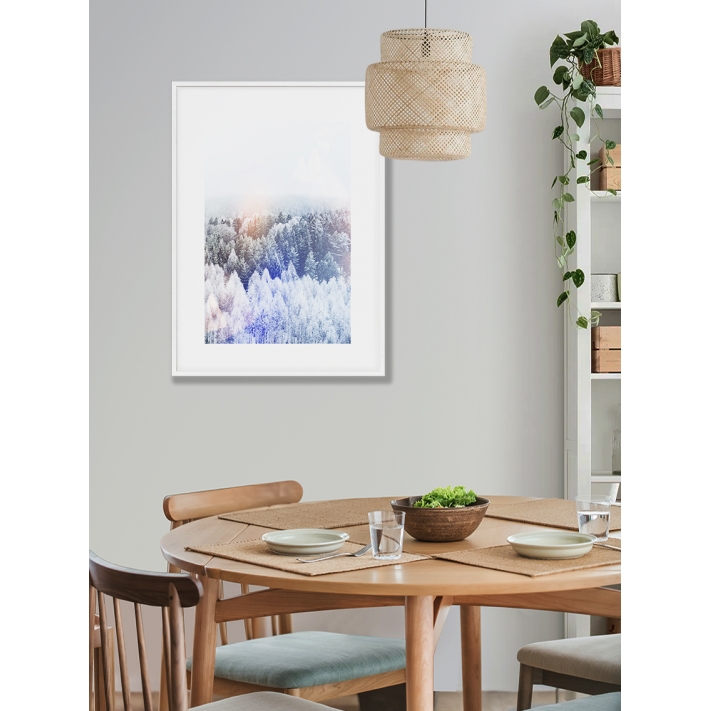 Lámina Bosque del norte