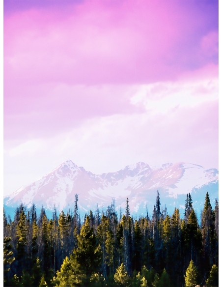 Lámina Bosque del norte 2