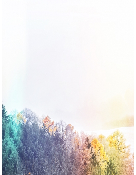 Lámina Bosque multicolor