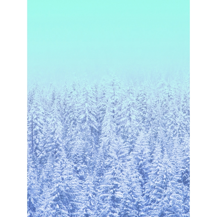 Lámina Bosque nevado 2