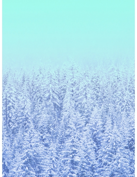 Lámina Bosque nevado 2