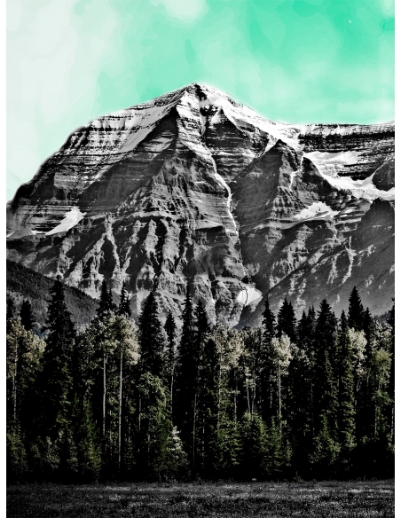 Lámina Bosque verde