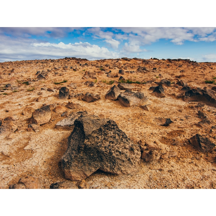 Lámina Desierto