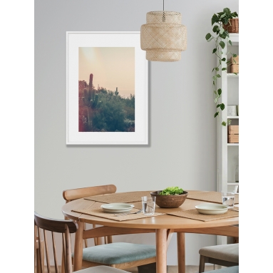 Lámina Desierto Cactus 2