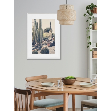 Lámina Desierto Cactus 4 2