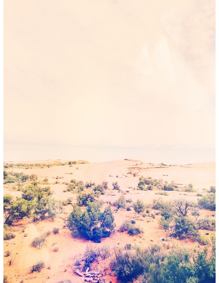 Lámina Desierto de Mojave