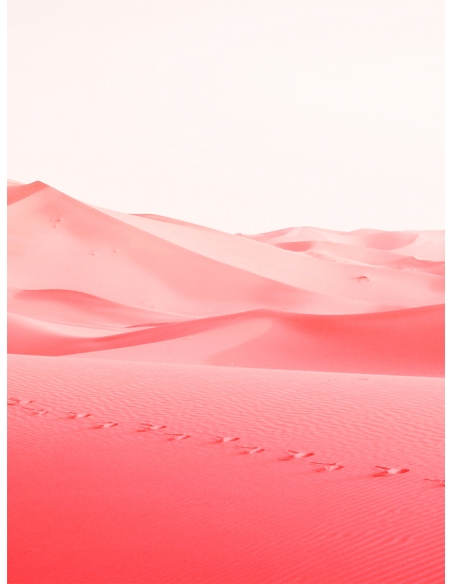 Lámina Desierto rojo