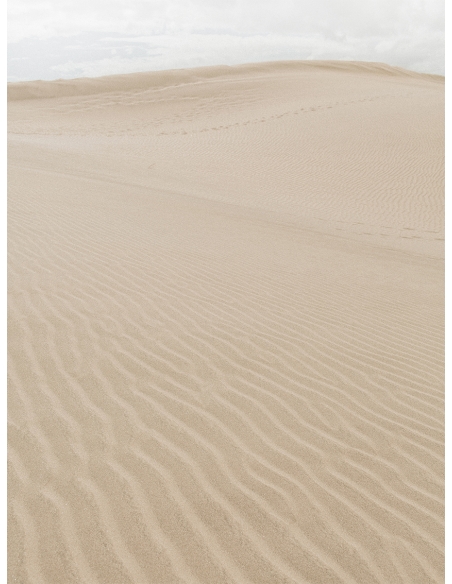 Lámina Dunas