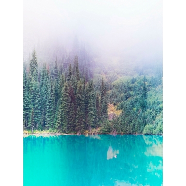 Lámina Pinos en el Lago