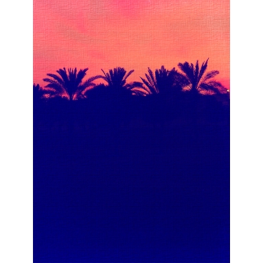 Lámina Puesta de Sol Tropical