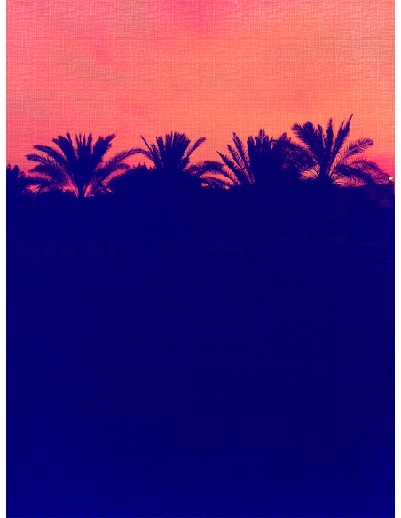 Lámina Puesta de Sol Tropical