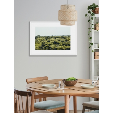 Lámina Rocas con musgo 2