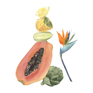 Lámina Conjunto frutas