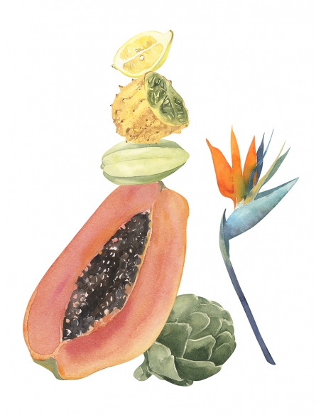 Lámina Conjunto frutas