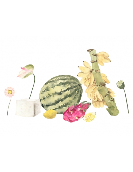 Lámina Conjunto frutas 2 Lámina Conjunto frutas 2