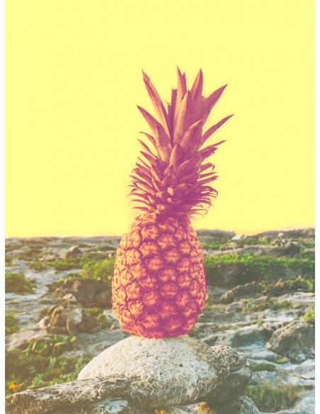Lámina Piña Lámina Piña