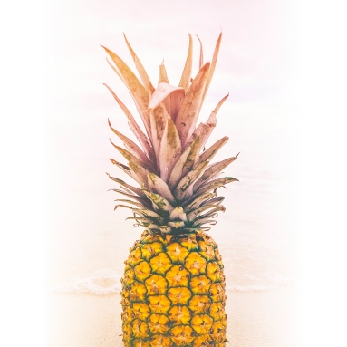 Lámina Piña 2