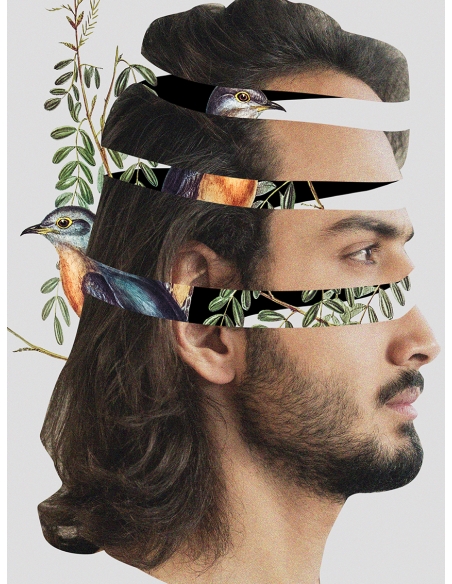 Lámina Collage Chico Lámina Collage Chico