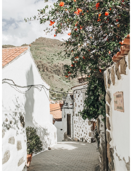 Lámina Callejuela 2