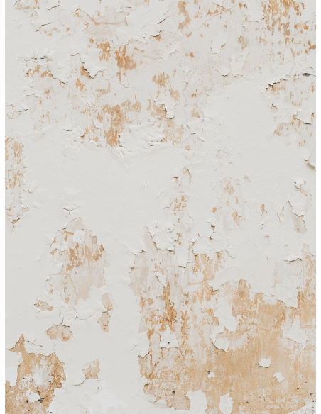 Lámina Pared desconchada