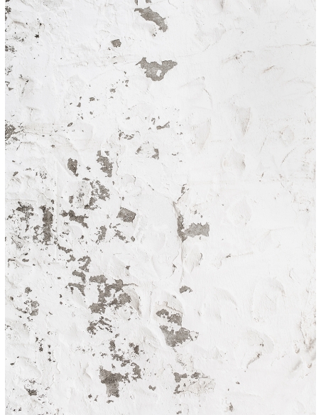 Lámina Pared desconchada 3