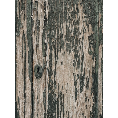 Lámina Puerta cerradura verde