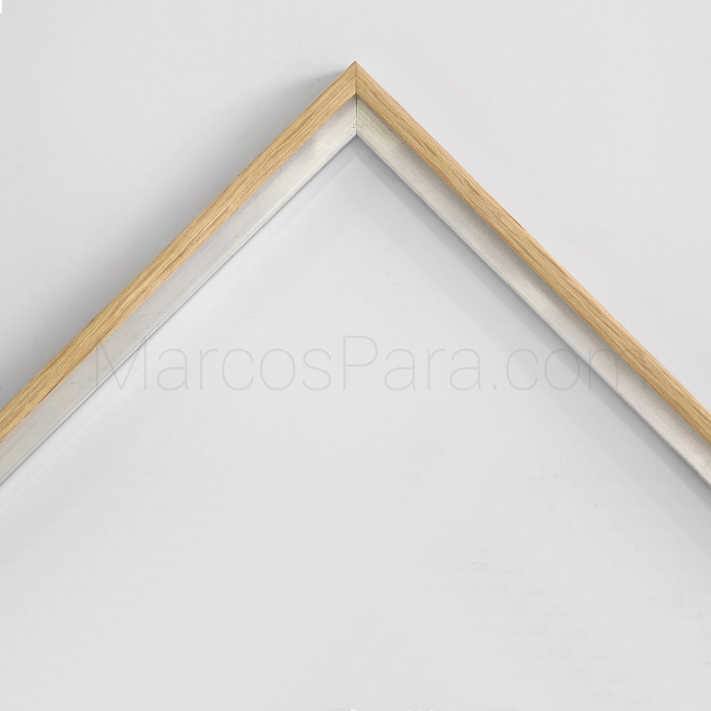 Marco de Aluminio Estándar TM2N