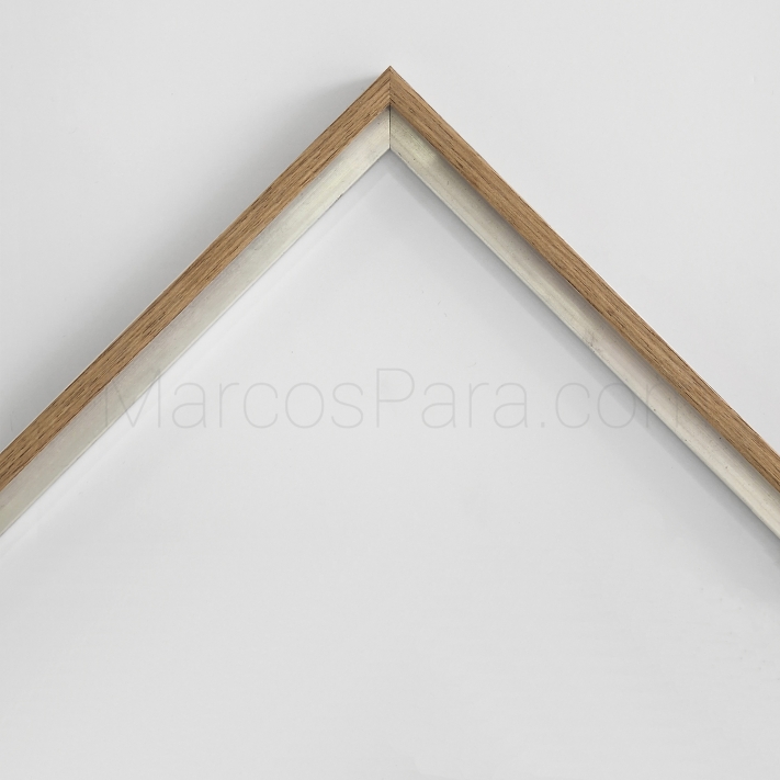 Marco de Aluminio Estándar TM2N