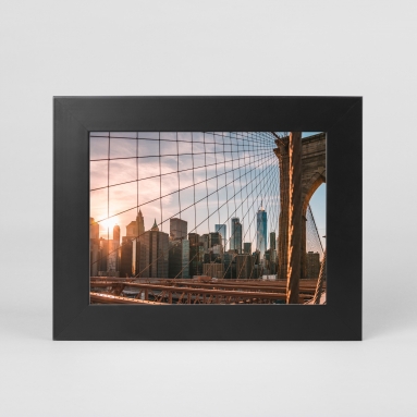 Premio InstaCat Club