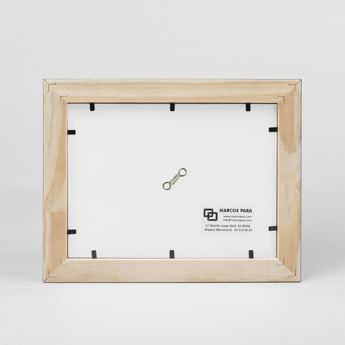 Premio InstaCat Club