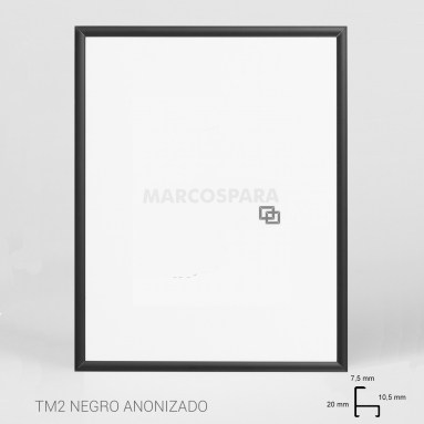 Marco Estándar de Aluminio TM2
